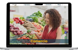 diseno-web-Comercio.png