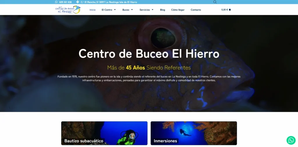 presupuesto diseño web