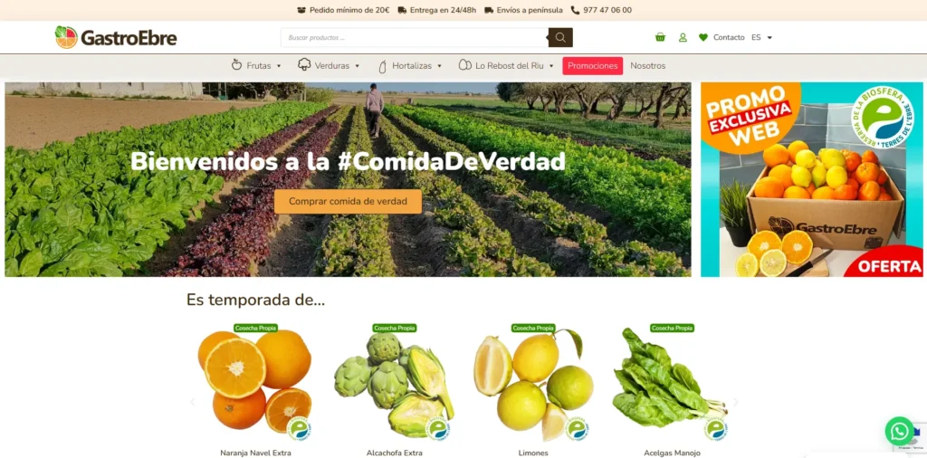 presupuesto web online - GastroEbre